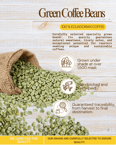 Café en oro (grano verde) 5 kg - 3