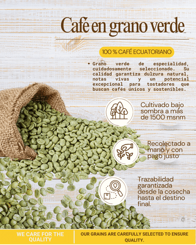 Café en oro (grano verde) 5 kg - 2