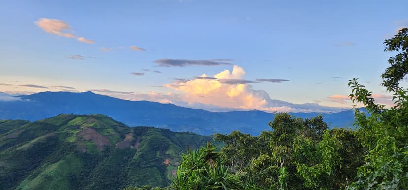 Vista panorámica